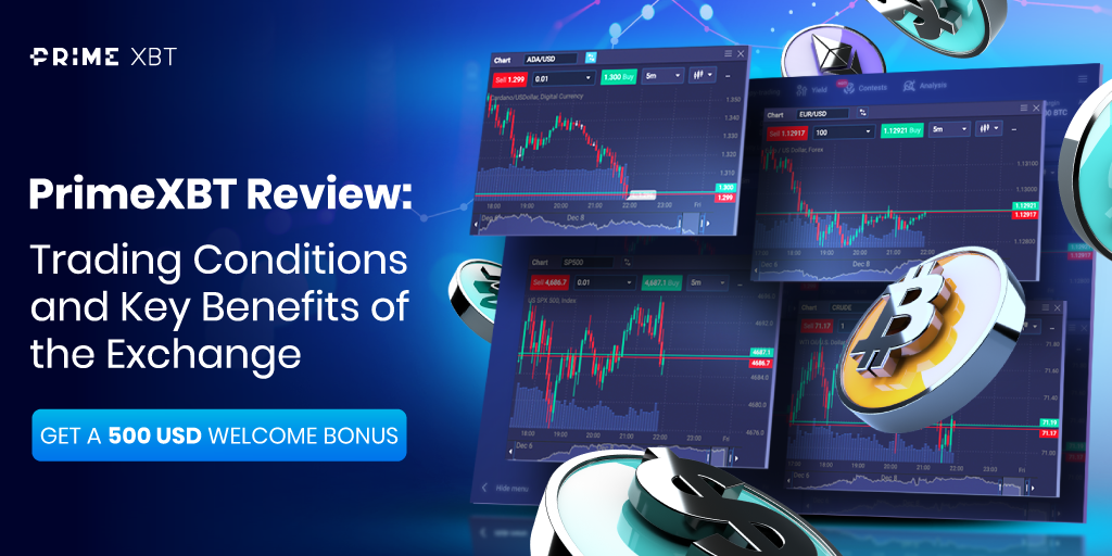 Unlocking Opportunities The PrimeXBT Forex Experience