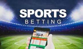 The Rise of Haki Bet Revolutionizing Online Gambling