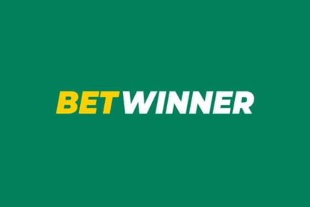 Everything You Need to Know About Your Account BetWinner 1 Everything You Need to Know About Your Account BetWinner 1