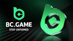 Ultimate Guide to BC.Game Registration 6