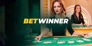 BetWinner Casino Your Ultimate Gaming Destination
