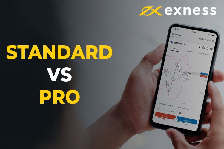 Understanding Exness Trading Volume Insights and Trends